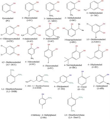 Small phenolic compounds as potential endocrine disruptors interacting with estrogen receptor alpha